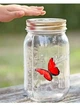 Декоративный ночник Бабочка в банке Butterfly Интерактивная порхающая бабочка в банке с подсветкой - изображение 3