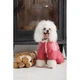Одежда Pet Fashion Cherry Комбинезон для собак-девочек S2 (1111180541) - изображение 4