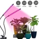 Фито лампа Led Plant Grow Leight USB Двойная - изображение 2