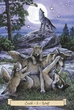 Карты Оракул Повседневные ведьмы-помощники - Everyday Witch's Familiars Oracle - изображение 4