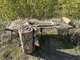 Увеличенная раскладушка Nest НАТО ХЛ 206х72 до 260кг с Матрасом, Карманом, Подушкой и чехлом Мультикам - изображение 6