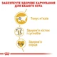 Сухий корм для дорослих кішок Royal Canin British Shorthair Adult для кішок породи британська короткошерста 1 кг (НА ВАГУ) - изображение 6