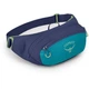 Поясная сумка Osprey Daylite Waist Синій-Фіолетовий - изображение 1