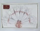 Скатертина KDK Set Maison Royale 160x300+12 psc White - зображення 2