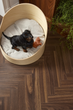 Ламінат Berry Alloc Chateau + B B8111 Walnut Brown 1.0161 м² упаковка 33 клас (62002731) - зображення 4