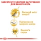 Royal Canin Sphynx Adult 2 кг | Сухий корм для котів та кішок породи Сфінкс (3182550758840) (2556020) - изображение 4