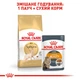 Royal Canin Sphynx Adult 2 кг | Сухий корм для котів та кішок породи Сфінкс (3182550758840) (2556020) - изображение 5