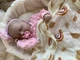 Силіконова Колекційна Новонароджена Лялька Реборн Немовля Анатомічна Дівчинка Пупс Енні (Вінілова Лялька) Reborn 50 см - зображення 4