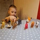 Набор фигурок животных Kruzzel Домашние животные 12 шт - изображение 5
