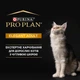 Сухой корм Purina Pro Plan Elegant для кошек, уход за кожей и шерстью с лососем 400 г - изображение 2