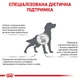 Royal Canin Hepatic Dog Сухий Корм ​​Для Собак При Захворюваннях Печінки 1.5 кг (3182550771719) (39270151) - зображення 3