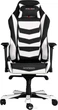 Кресло для геймеров DXRacer Iron OH/IS166/NW (чёрное/белые вставки) (59887) - изображение 1