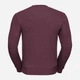 Свитшот мужской Russell Premium Authentic 0R262M 2XL Бордовый (0R262MR412XL) - изображение 6