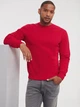 Свитшот мужской Russell Premium Authentic 0R262M XL Красный (0R262MRCRXL) - изображение 1