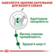 Royal Canin Royal Canin Mini Adult | Сухий корм для дорослих собак 8 кг (3182551055757) (30010080) - зображення 8