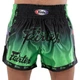 Шорти для тайського боксу та кікбоксингу FAIRTEX BO-9474 (поліестер, р-р L, Чорний-салатовий) - изображение 2