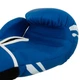 Перчатки боксерские PVC на липучке TWN MATT CLASSIC BGVL-10 (р-р 10oz, Синий) (BGVL-10_Синий_10_унции) - изображение 5