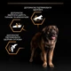 Сухой корм Purina Pro Plan Large Robust для собак больших пород с курицей 14кг (7613035120426) - изображение 4
