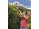 Кущоріз Ryobi OHT1850X - изображение 4