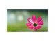 Об'єктив Sony SEL-100F28GM 100mm F2.8 STF GM OSS - изображение 9