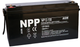 Аккумуляторная батарея NPP NP12-150 (NP12150) - изображение 2