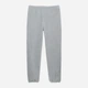 Детские теплые флисовые спортивные штаны Joiks SFK-07 134 см Серые (J2000000079523) - изображение 5