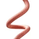 Кабель Baseus Dynamic Series Fast Charging Data Cable Type-C to iP 20W 2m Orange (CALD000107) - изображение 3