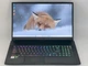 Ігровий ноутбук Б-клас MSI GF75 Thin 10SDK / 17.3" (1920x1080) IPS / Intel Core i7-10750H (6 (12) ядер по 2.6 - 5.0 GHz) / 32 GB DDR4 / 720 GB SSD / nVidia GeForce GTX 1660 Ti, 6 GB GDDR6, 192-bit / WebCam б/в - зображення 2