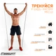 Набор Резиновая петля-эспандер Easyfit Origin 6-31 кг резинка для подтягиваний, фитнеса и тренировок EF-2654-3 Черная (56102665) + Кистевой эспандер EasyFit 5-60 кг (со счетчиком) пружинный тренажер с регулируемой нагрузкой EF-1905-B Черно-серый - изображение 3