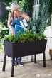 Грядка для рослин Keter Easy Grow Сіра (7290103660833) - зображення 4