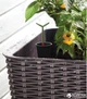 Грядка для рослин Keter Easy Grow Сіра (7290103660833) - зображення 5