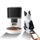 Автоматическая смарт кормушка для собак и котов TikPaws 6 L с камерой, дозатором и таймером, Белая (W-QQ009) - изображение 2
