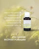 Экстракт ромашки 30 мл New life (снятие боли и спазмов в пищеварительном тракте, метаболизм, кровообращение, укрепление ногтей и волос) - изображение 5