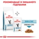 Їжа для дорослих котів ROYAL CANIN SKIN&COAT CAT 400 г - зображення 8