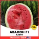 Арбуз Авалон F1, 25 шт, Семена из США - изображение 1