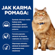  Сухий корм для кішок Hill's Prescription Diet Feline k/d + Mobility з куркою 3 кг (0052742044767) - зображення 4