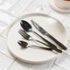 Набір столових приборів Homla Abele Чорний 16 шт (5902869951927) - зображення 4