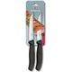 Ножи для стейка (2 шт) Victorinox SWISS CLASSIC Steak 6.7903.12B - изображение 1