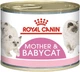 Консерва кош Royal 195гр Mother babycat кошенята 4098002 - зображення 1