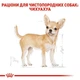 Повнораціонний сухий корм Royal Canin Chihuahua Adult для дорослих собак породи чихуахуа віком від 8 місяців, 1.5 кг, 2210015 - изображение 2
