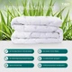 Одеяло ТЕП. Природа Aloe Vera membrana print 350 зимнее -180х210 - изображение 4
