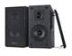 Колонки 2.0 REAL-EL S-250 black - изображение 1
