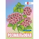 Розмальовка-антистрес Santi Флористика 12 стор. (743058) - зображення 1