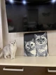 Конструктор По фото Picasso ART Pixel Art Max (368055) - зображення 9