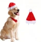 Шапка новогодняя для собак и кошек "SANTA" 19 см 13 см - изображение 6