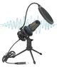 Мікрофон дротовий конденсаторний Studio Microphone з поп-фільтром і RGB підсвіткою - зображення 2
