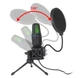 Мікрофон дротовий конденсаторний Studio Microphone з поп-фільтром і RGB підсвіткою - зображення 4