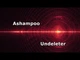 Ashampoo Undeleter – просте відновлення видалених файлів, безтермінова ліцензія, 1 ПК - зображення 1
