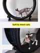 Беговое колесо для котов CutePet R01 XXL для средних и крупных пород кошек Цвет Черный - изображение 6