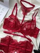 Комплект жіночої білизни з прозорого мережива SM2120/5gg Simply sexy Бордовий S - зображення 3